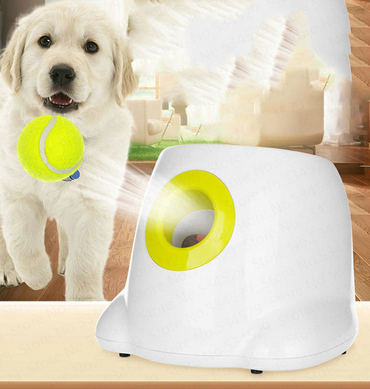 Paws and Whiskers Ball Launcher