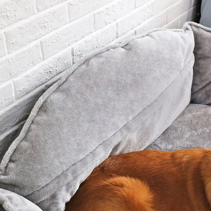 Paws and Whiskers Dog Bed