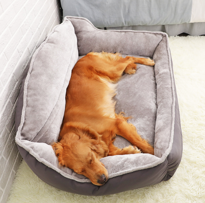 Paws and Whiskers Dog Bed