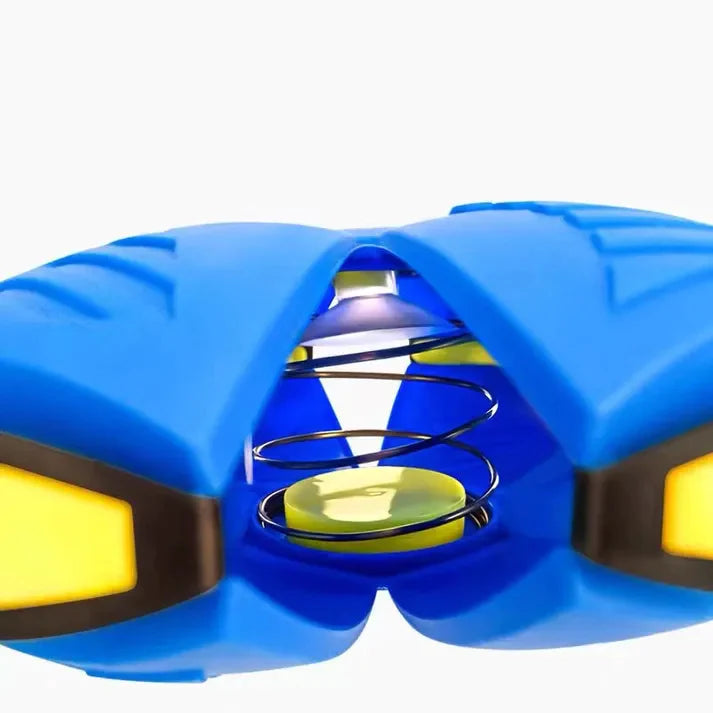 Paws and Whiskers Dog Frisbee