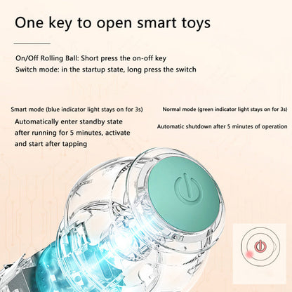 Paws and Whiskers Interactive Ball