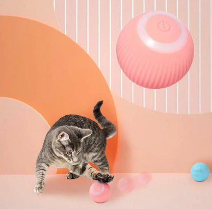 Paws and Whiskers Interactive Ball