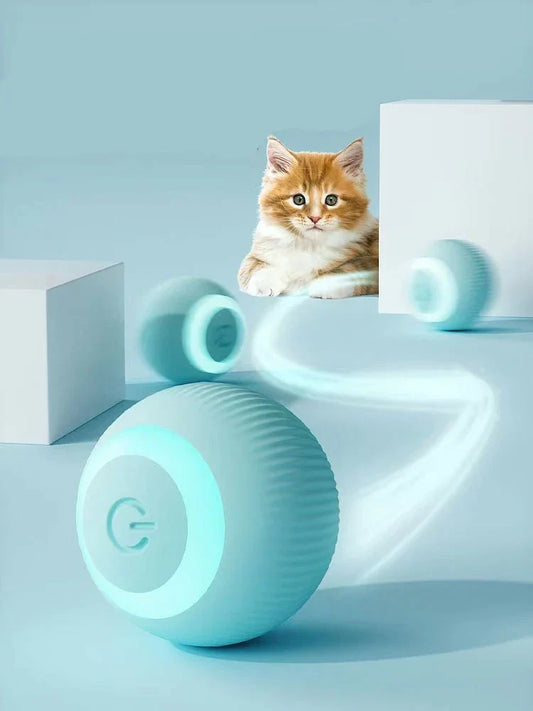 Paws and Whiskers Interactive Ball