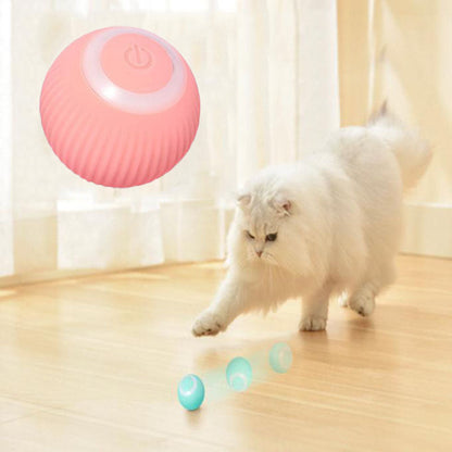 Paws and Whiskers Interactive Ball
