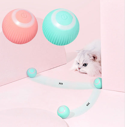 Paws and Whiskers Interactive Ball